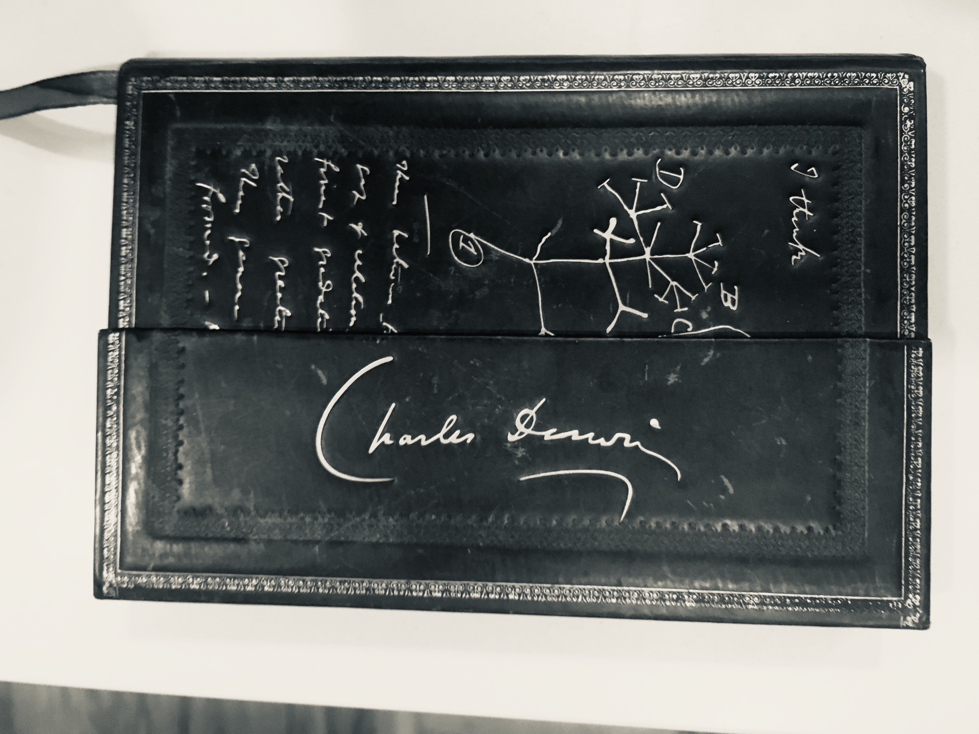 mi agenda darwiniana